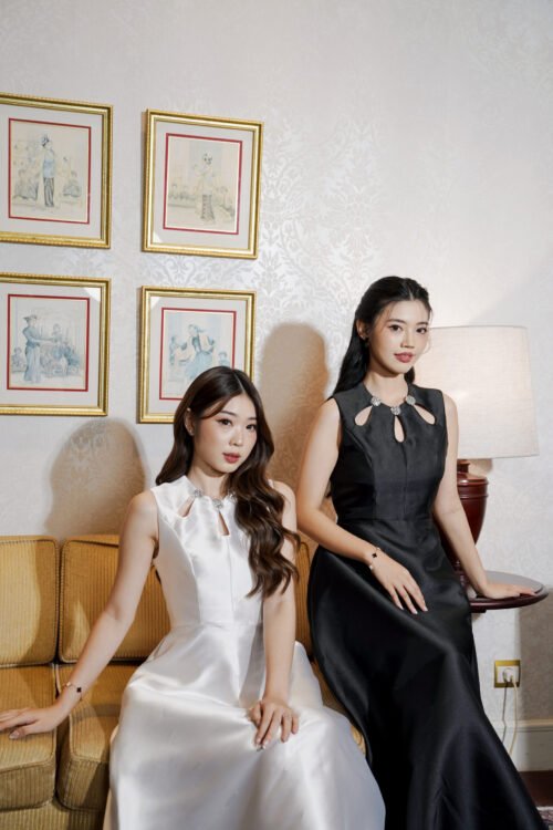 KLEITA OFFICIAL - NOLEEN DRESS